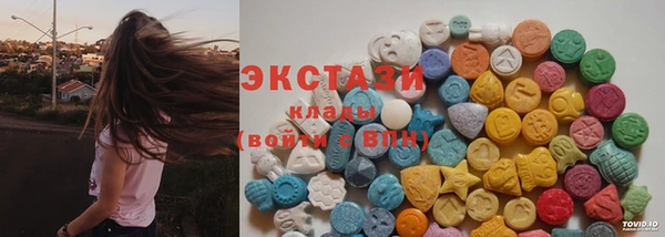 гашик Вяземский