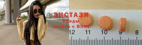 гашик Вяземский