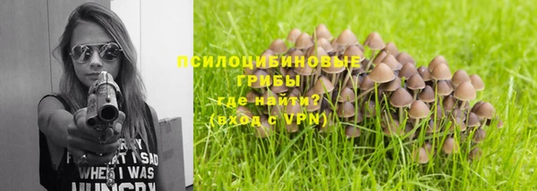 стафф Вязники