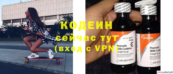 гашик Вяземский