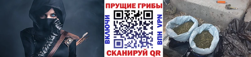 Купить где  Полевской  Псилоцибиновые грибы MAGIC MUSHROOMS 